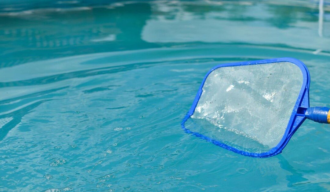 Pool Skimmers: Different Types and Their Role