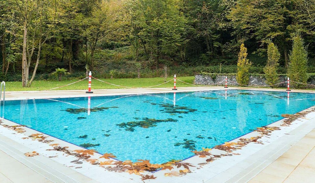 Can a Dirty Pool Make You Sick?