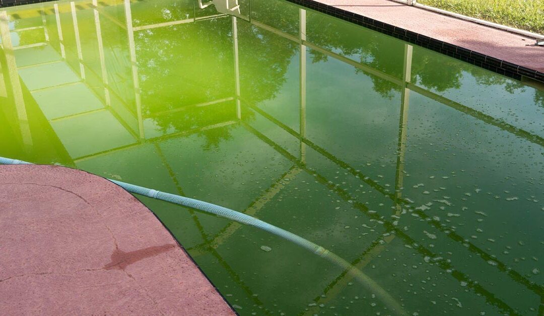 What Makes My Pool Turn Green? 5 Lesser Known Causes